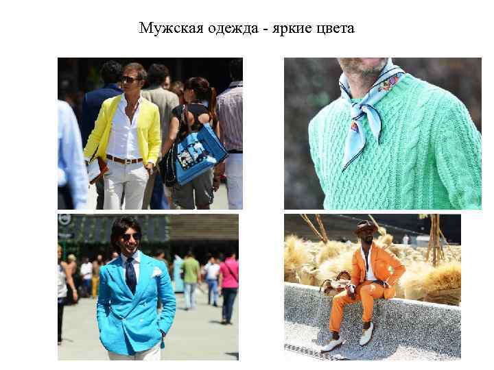 Мужская одежда яркие цвета 