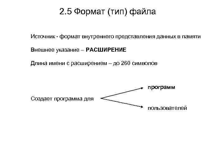2. 5 Формат (тип) файла Источник - формат внутреннего представления данных в памяти Внешнее