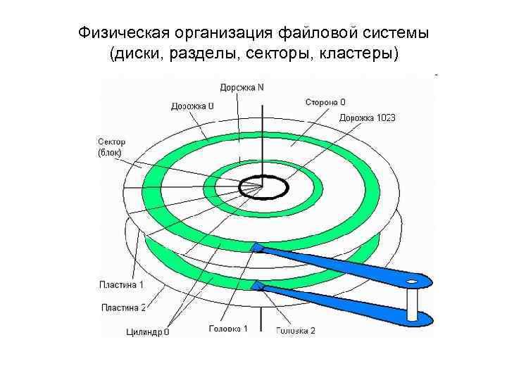 Физическая организация файловой системы (диски, разделы, секторы, кластеры) 