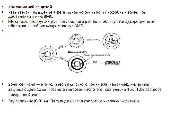  • • • «Коллоидной защитой называется повышение агрегативной устойчивости лиофобных золей при добавлении