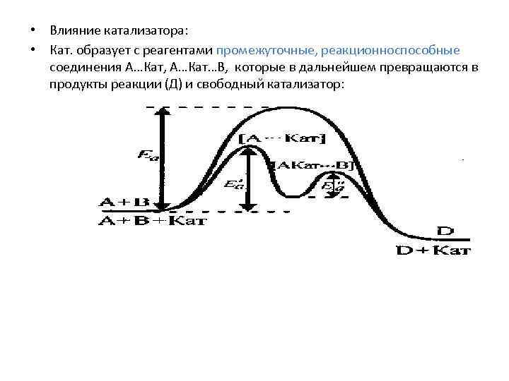  • Влияние катализатора: • Кат. образует с реагентами промежуточные, реакционноспособные соединения А…Кат, А…Кат…В,