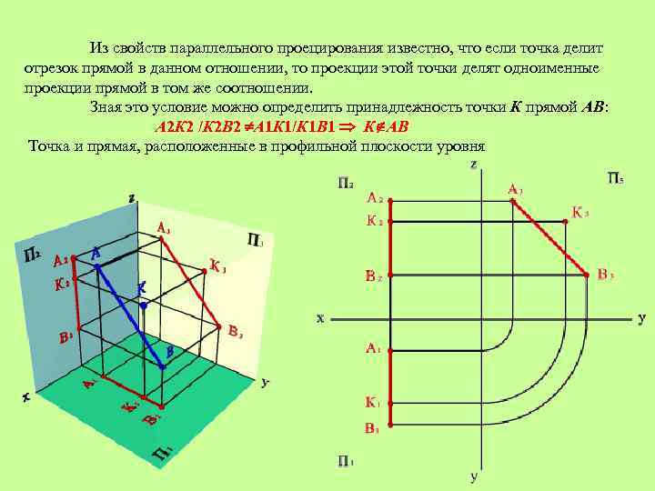 Точка b делит. Свойства параллельного проецирования Начертательная геометрия. Проекция прямой и ее отрезков Начертательная геометрия. Свойства параллельных проекций. Профильная проекция координаты.