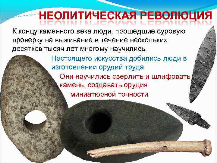 К концу каменного века люди, прошедшие суровую проверку на выживание в течение нескольких десятков