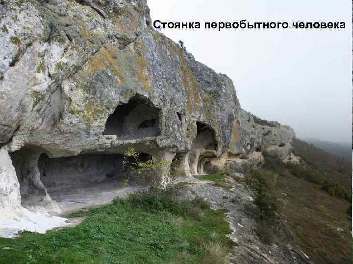 Cтоянка первобытного человека 