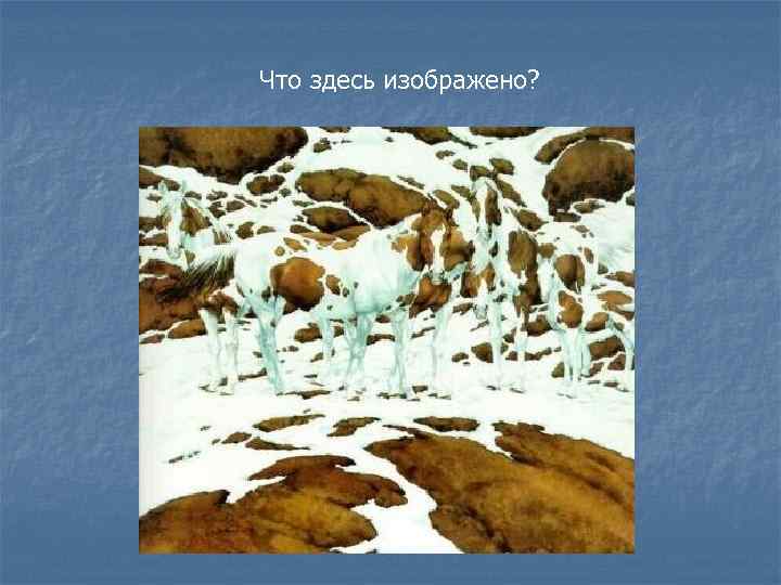 Что здесь изображено? 