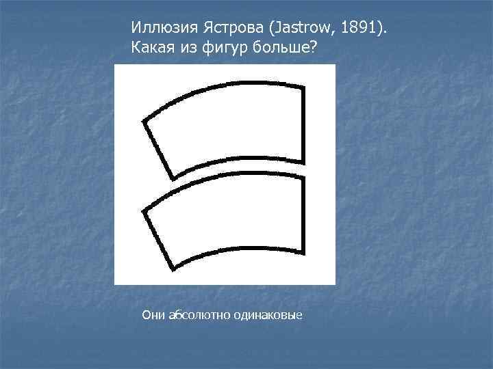 Иллюзия Ястрова (Jastrow, 1891). Какая из фигур больше? . Они абсолютно одинаковые 