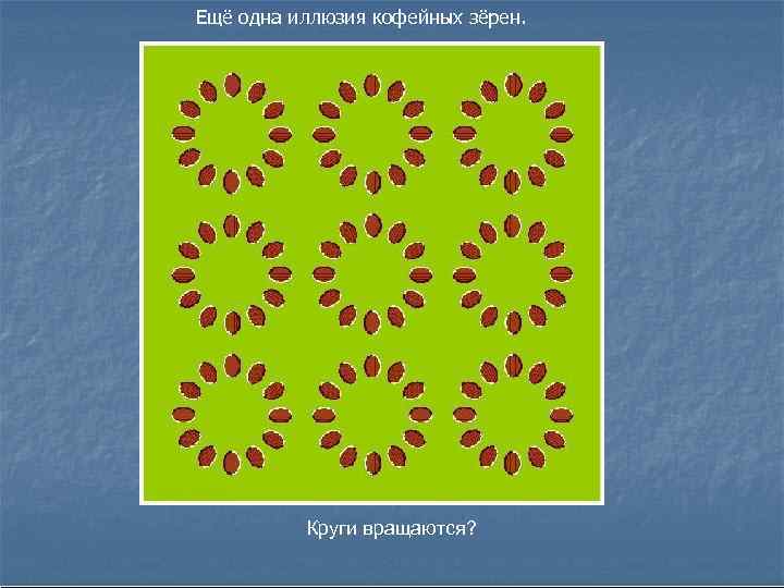 Ещё одна иллюзия кофейных зёрен. Круги вращаются? 