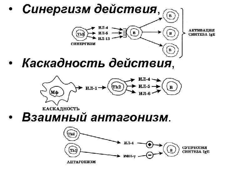  • Синергизм действия, • Каскадность действия, • Взаимный антагонизм. 