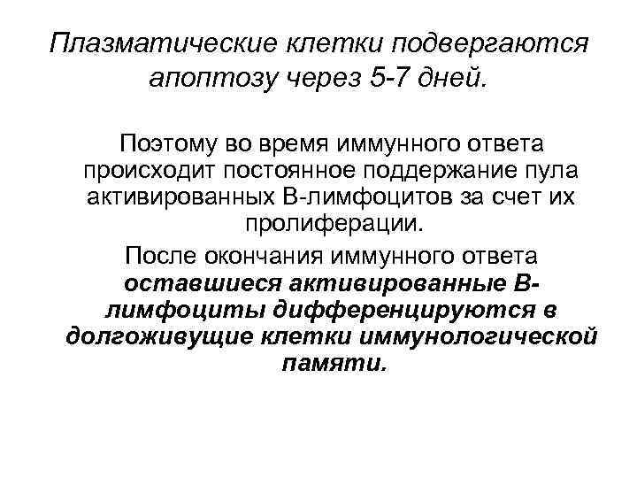 Плазматические клетки подвергаются апоптозу через 5 -7 дней. Поэтому во время иммунного ответа происходит