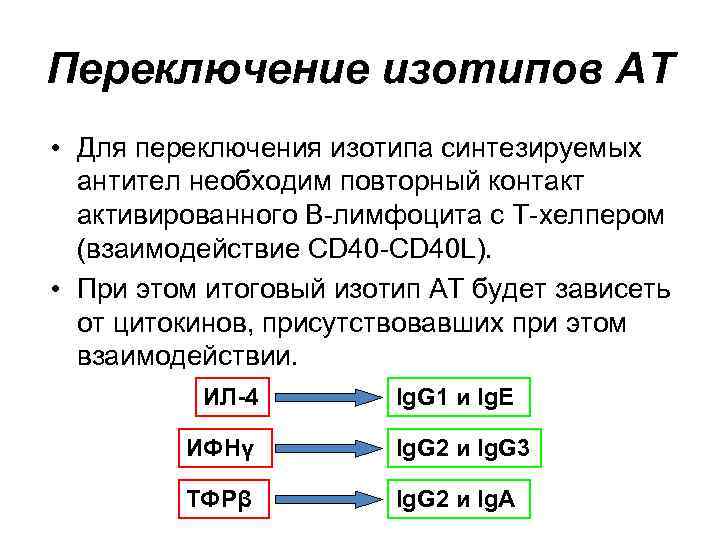 Переключение изотипов АТ • Для переключения изотипа синтезируемых антител необходим повторный контакт активированного В-лимфоцита