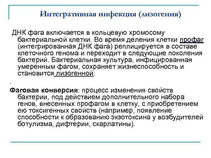 Интегративная инфекция (лизогения) ДНК фага включается в кольцевую хромосому бактериальной клетки. Во время деления