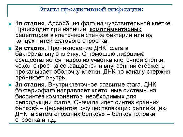 Этапы продуктивной инфекции: n n n 1 я стадия. Адсорбция фага на чувствительной клетке.