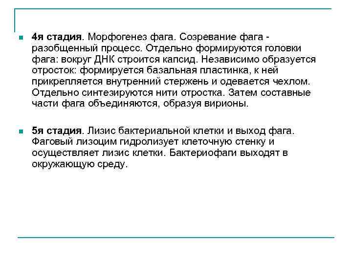 n 4 я стадия. Морфогенез фага. Созревание фага разобщенный процесс. Отдельно формируются головки фага: