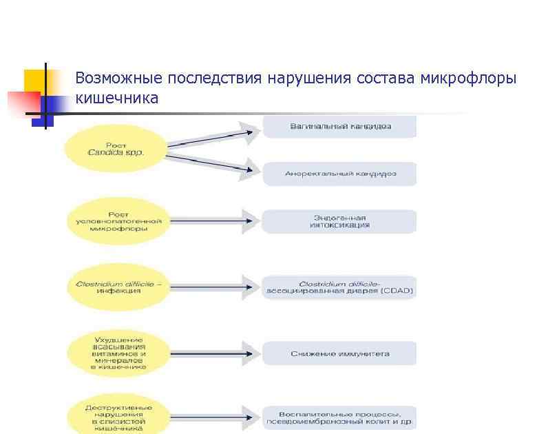 Возможные последствия нарушения состава микрофлоры кишечника 