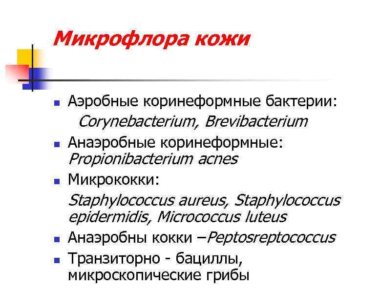 Микрофлора кожи n Аэробные коринеформные бактерии: Corynebacterium, Brevibacterium n Анаэробные коринеформные: n Микрококки: n