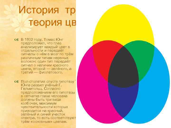 История трёхкомпонентная теория цветного зрения В 1802 году, Томас Юнг предположил, что глаз анализирует