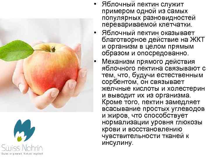  • Яблочный пектин служит примером одной из самых популярных разновидностей перевариваемой клетчатки. •