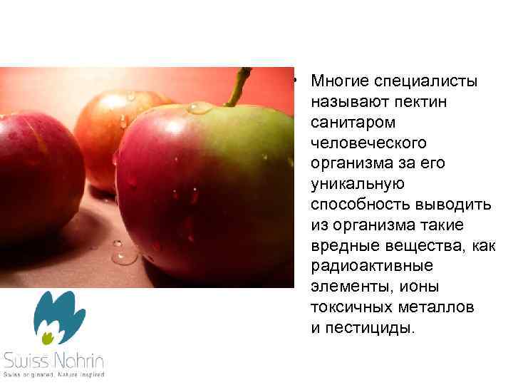  • Многие специалисты называют пектин санитаром человеческого организма за его уникальную способность выводить