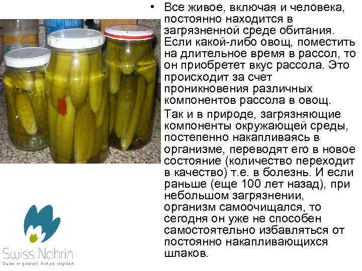  • Все живое, включая и человека, постоянно находится в загрязненной среде обитания. Если