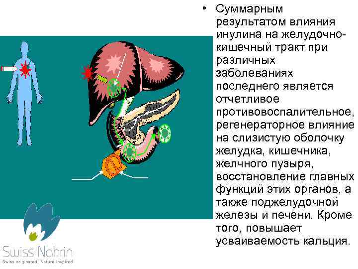  • Суммарным результатом влияния инулина на желудочнокишечный тракт при различных заболеваниях последнего является