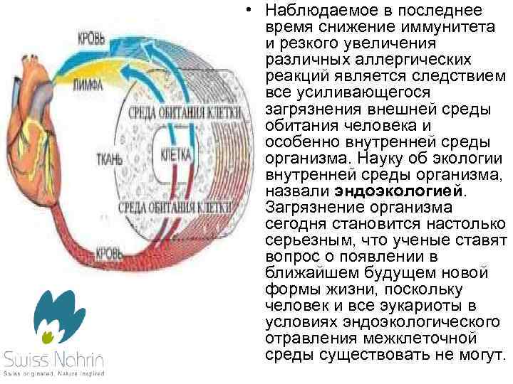  • Наблюдаемое в последнее время снижение иммунитета и резкого увеличения различных аллергических реакций