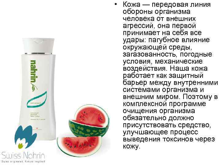  • Кожа — передовая линия обороны организма человека от внешних агрессий, она первой