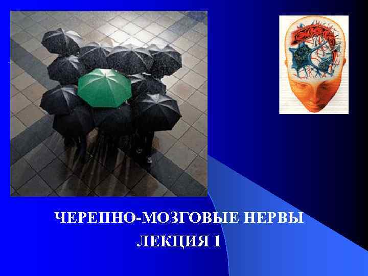 ЧЕРЕПНО-МОЗГОВЫЕ НЕРВЫ ЛЕКЦИЯ 1 