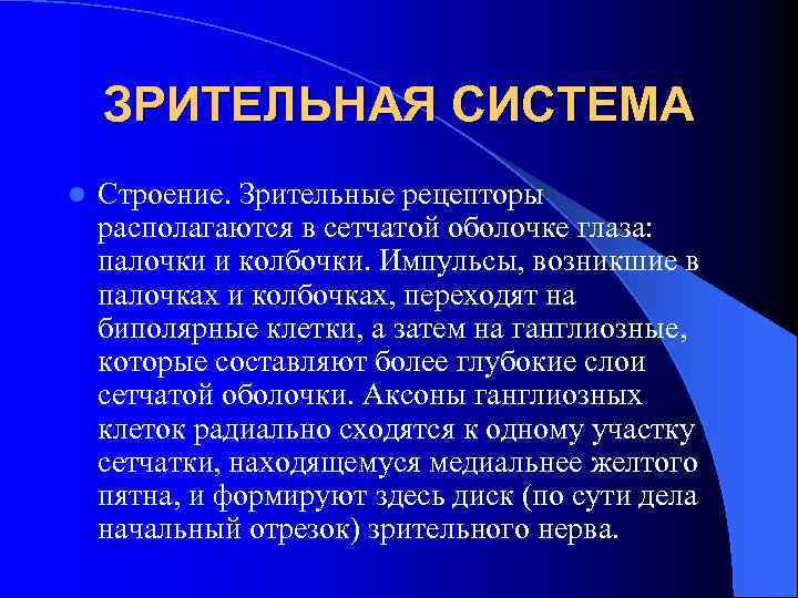 ЗРИТЕЛЬНАЯ СИСТЕМА l Строение. Зрительные рецепторы располагаются в сетчатой оболочке глаза: палочки и колбочки.