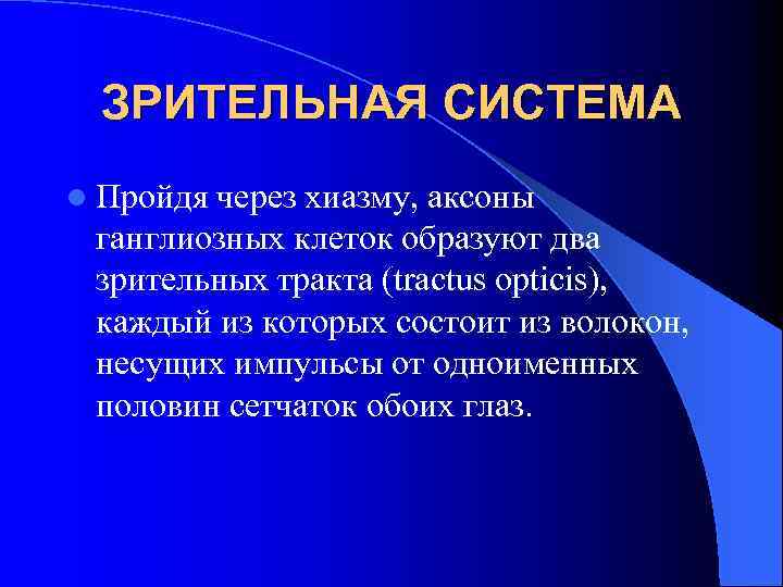 ЗРИТЕЛЬНАЯ СИСТЕМА l Пройдя через хиазму, аксоны ганглиозных клеток образуют два зрительных тракта (tractus