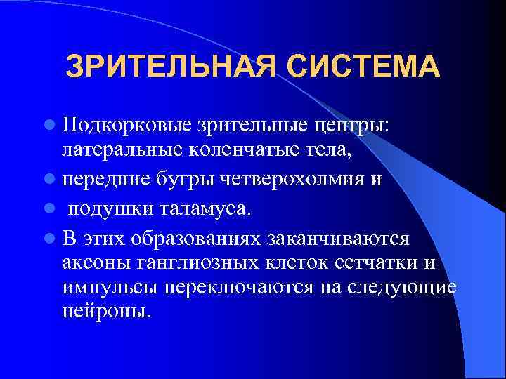ЗРИТЕЛЬНАЯ СИСТЕМА l Подкорковые зрительные центры: латеральные коленчатые тела, l передние бугры четверохолмия и