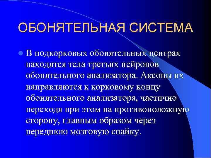 ОБОНЯТЕЛЬНАЯ СИСТЕМА l. В подкорковых обонятельных центрах находятся тела третьих нейронов обонятельного анализатора. Аксоны