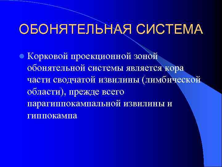 ОБОНЯТЕЛЬНАЯ СИСТЕМА l Корковой проекционной зоной обонятельной системы является кора части сводчатой извилины (лимбической