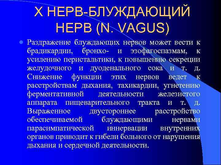 Х НЕРВ-БЛУЖДАЮЩИЙ НЕРВ (N. VAGUS) l Раздражение блуждающих нервов может вести к брадикардии, бронхо-