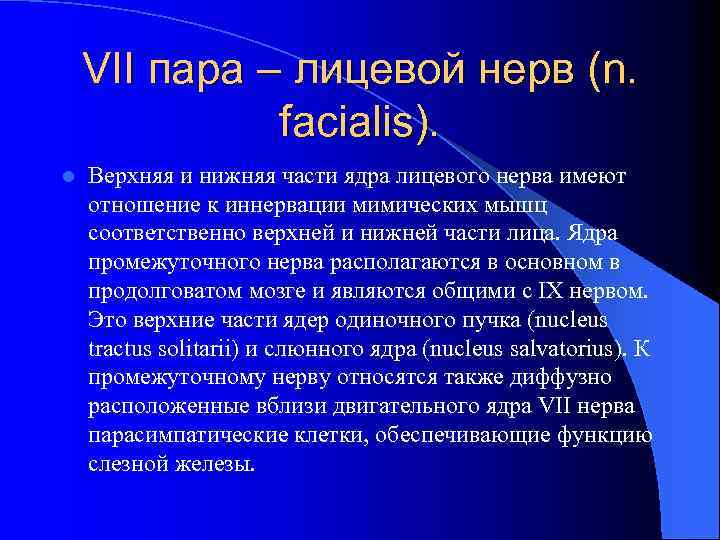 VII пара – лицевой нерв (n. facialis). l Верхняя и нижняя части ядра лицевого