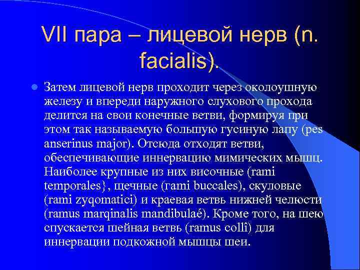 VII пара – лицевой нерв (n. facialis). l Затем лицевой нерв проходит через околоушную