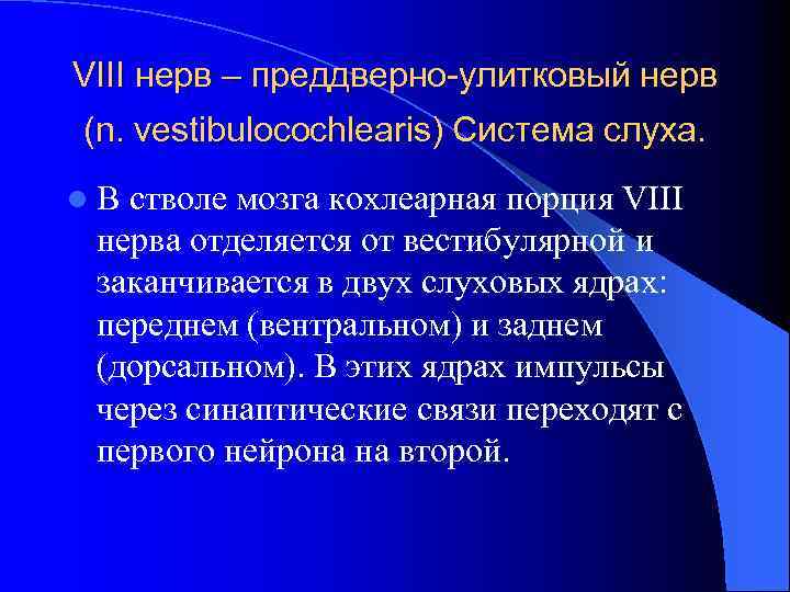 VIII нерв – преддверно-улитковый нерв (n. vestibulocochlearis) Система слуха. l. В стволе мозга кохлеарная