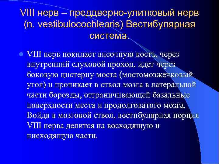 VIII нерв – преддверно-улитковый нерв (n. vestibulocochlearis) Вестибулярная система. l VIII нерв покидает височную