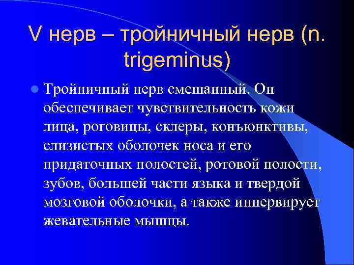 V нерв – тройничный нерв (n. trigeminus) l Тройничный нерв смешанный. Он обеспечивает чувствительность