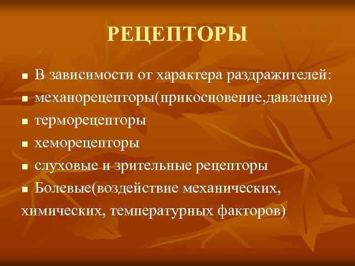 РЕЦЕПТОРЫ В зависимости от характера раздражителей: n механорецепторы(прикосновение, давление) n терморецепторы n хеморецепторы n