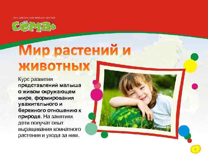 Курс развития представлений малыша о живом окружающем мире, формирования уважительного и бережного отношению к