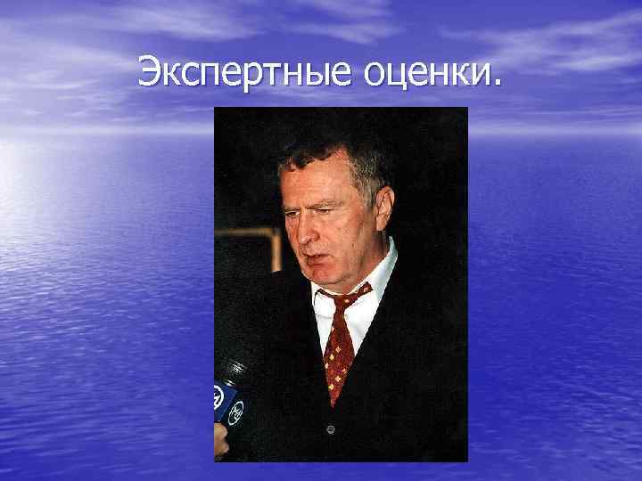 Экспертные оценки. 