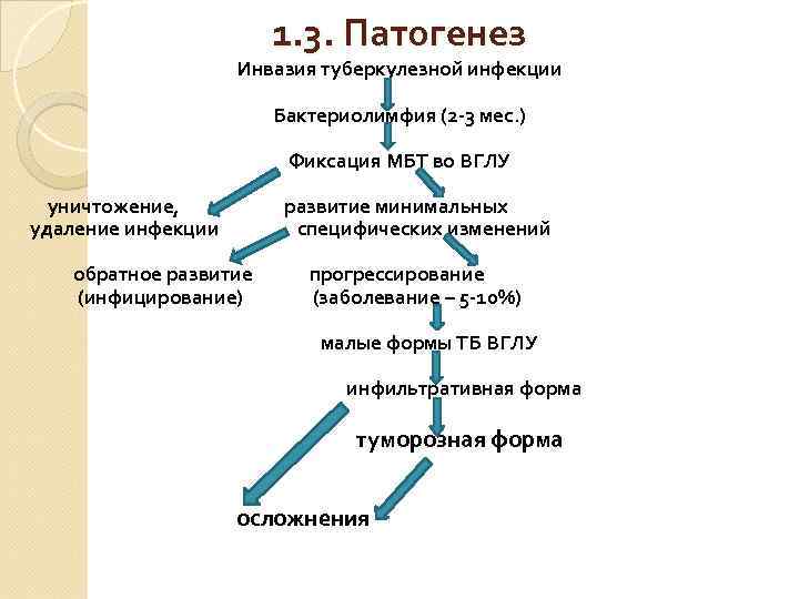 1. 3. Патогенез Инвазия туберкулезной инфекции Бактериолимфия (2 -3 мес. ) Фиксация МБТ во