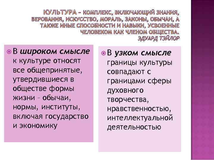  В широком смысле к культуре относят все общепринятые, утвердившиеся в обществе формы жизни