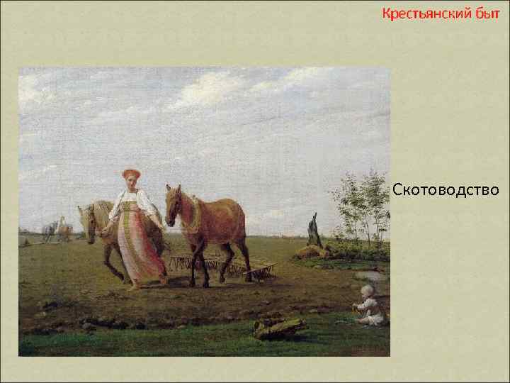 Крестьянский быт Скотоводство 