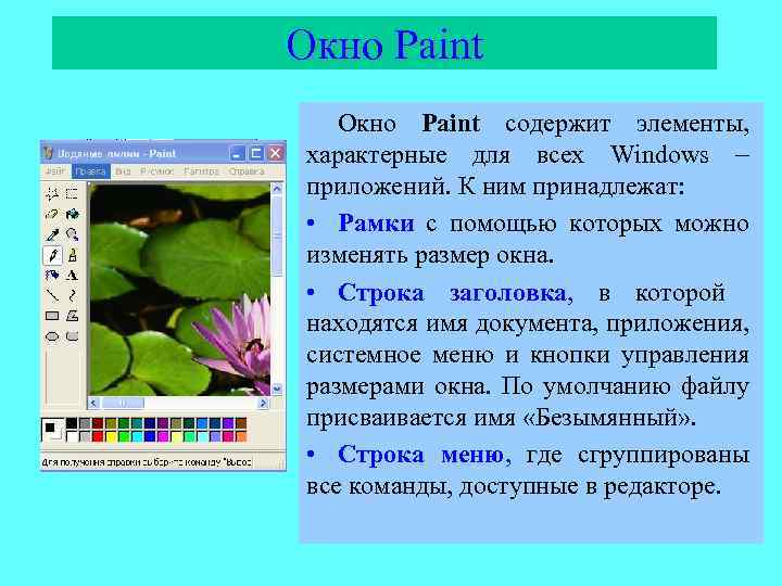 Окно Paint содержит элементы, характерные для всех Windows приложений. К ним принадлежат: • Рамки