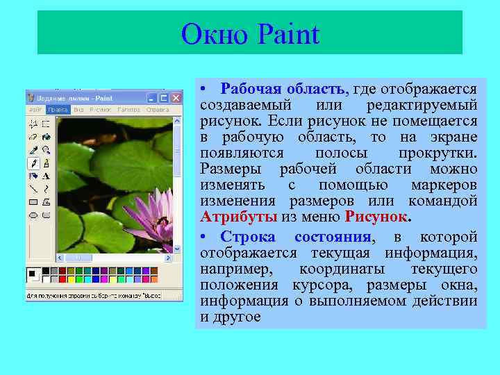 Окно Paint • Рабочая область, где отображается создаваемый или редактируемый рисунок. Если рисунок не