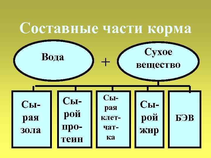 Составные части корма Вода Сырая зола Сырой протеин + Сырая клетчатка Сухое вещество Сырой