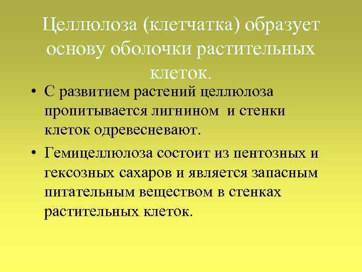 Целлюлоза (клетчатка) образует основу оболочки растительных клеток. • С развитием растений целлюлоза пропитывается лигнином