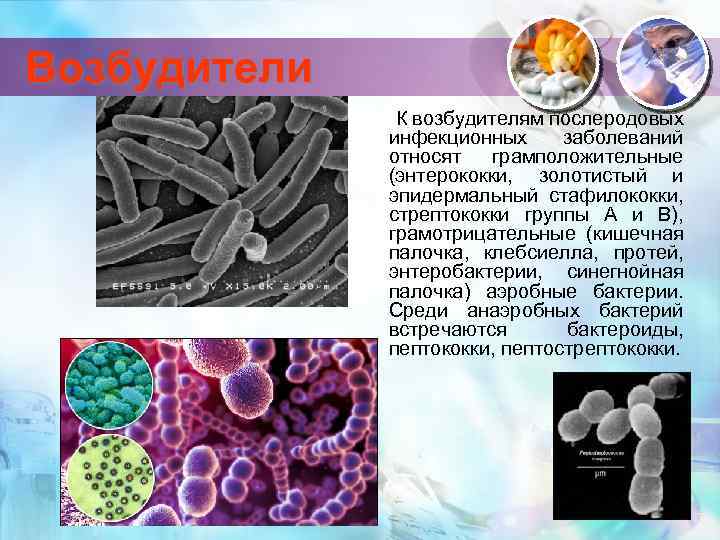Возбудители К возбудителям послеродовых инфекционных заболеваний относят грамположительные (энтерококки, золотистый и эпидермальный стафилококки, стрептококки