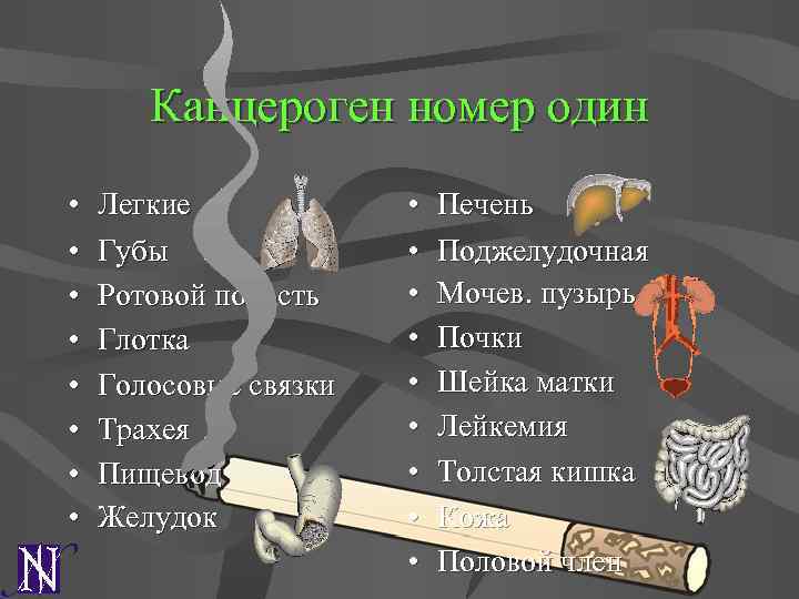 Канцероген номер один • • Легкие Губы Ротовой полость Глотка Голосовые связки Трахея Пищевод